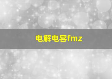 电解电容fmz