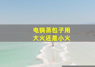 电锅蒸包子用大火还是小火