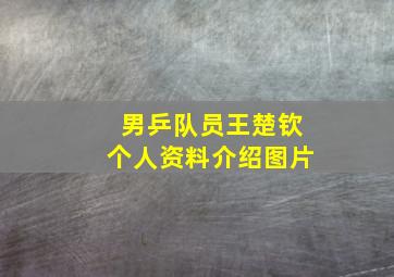 男乒队员王楚钦个人资料介绍图片