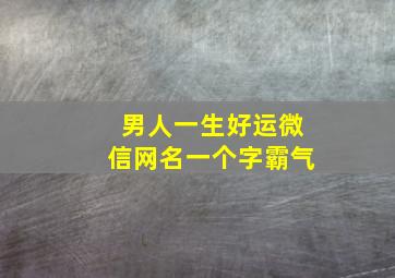 男人一生好运微信网名一个字霸气