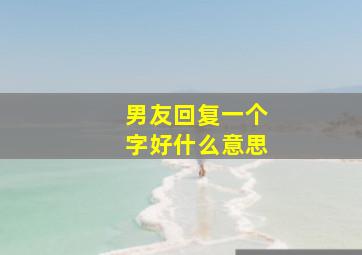 男友回复一个字好什么意思