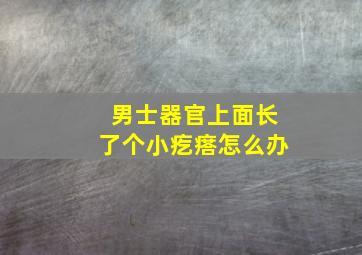 男士器官上面长了个小疙瘩怎么办