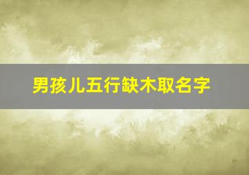 男孩儿五行缺木取名字