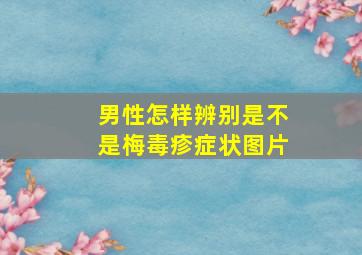 男性怎样辨别是不是梅毒疹症状图片