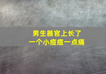 男生器官上长了一个小痘痘一点痛