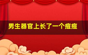 男生器官上长了一个痘痘