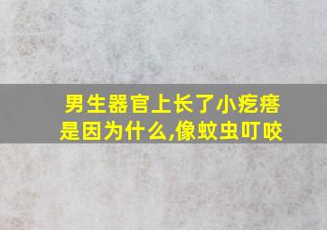 男生器官上长了小疙瘩是因为什么,像蚊虫叮咬