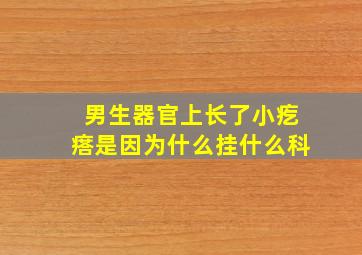 男生器官上长了小疙瘩是因为什么挂什么科