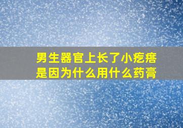 男生器官上长了小疙瘩是因为什么用什么药膏