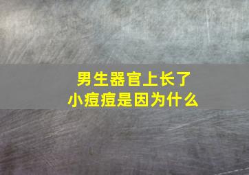 男生器官上长了小痘痘是因为什么