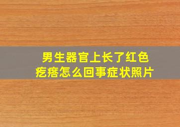 男生器官上长了红色疙瘩怎么回事症状照片