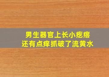 男生器官上长小疙瘩还有点痒抓破了流黄水