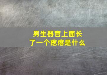 男生器官上面长了一个疙瘩是什么