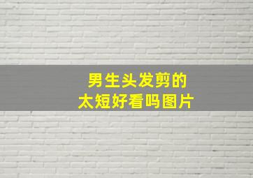 男生头发剪的太短好看吗图片