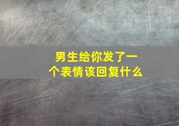 男生给你发了一个表情该回复什么