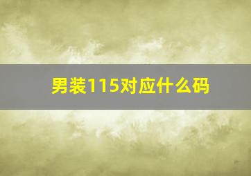 男装115对应什么码