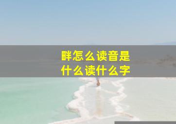 畔怎么读音是什么读什么字