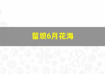 留坝6月花海