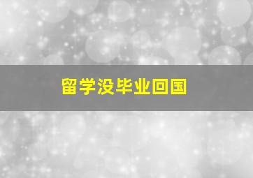 留学没毕业回国