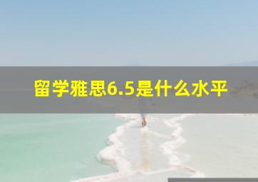 留学雅思6.5是什么水平