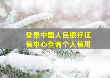 登录中国人民银行征信中心查询个人信用