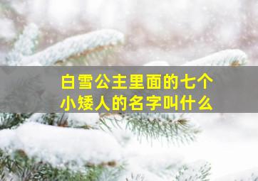 白雪公主里面的七个小矮人的名字叫什么