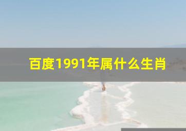 百度1991年属什么生肖