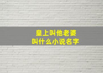 皇上叫他老婆叫什么小说名字