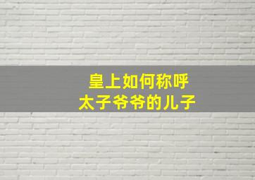 皇上如何称呼太子爷爷的儿子