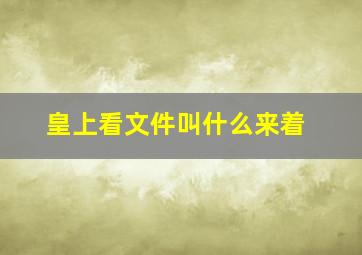 皇上看文件叫什么来着