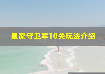 皇家守卫军10关玩法介绍