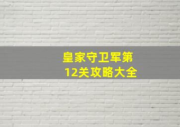 皇家守卫军第12关攻略大全