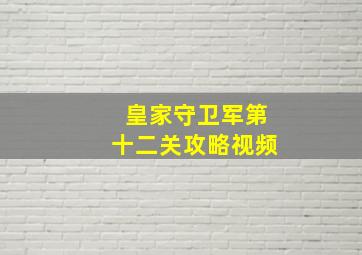 皇家守卫军第十二关攻略视频