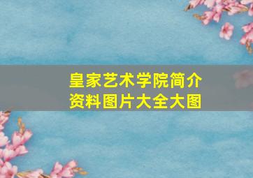 皇家艺术学院简介资料图片大全大图