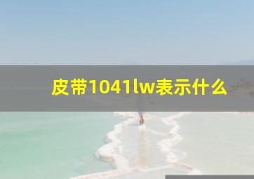 皮带1041lw表示什么