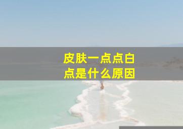 皮肤一点点白点是什么原因