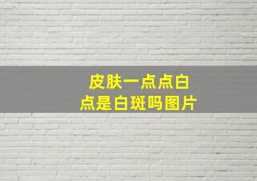 皮肤一点点白点是白斑吗图片