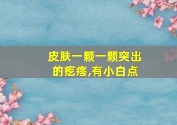 皮肤一颗一颗突出的疙瘩,有小白点