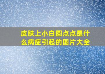 皮肤上小白圆点点是什么病症引起的图片大全