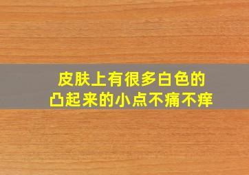 皮肤上有很多白色的凸起来的小点不痛不痒