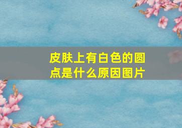 皮肤上有白色的圆点是什么原因图片