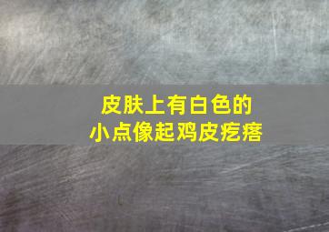 皮肤上有白色的小点像起鸡皮疙瘩