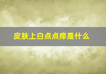 皮肤上白点点痒是什么