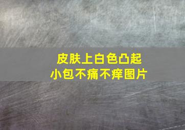 皮肤上白色凸起小包不痛不痒图片