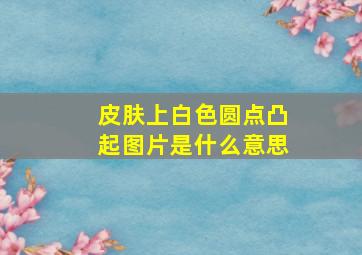 皮肤上白色圆点凸起图片是什么意思