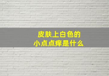 皮肤上白色的小点点痒是什么