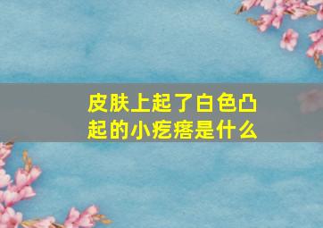 皮肤上起了白色凸起的小疙瘩是什么