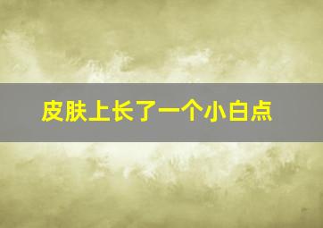 皮肤上长了一个小白点