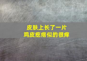 皮肤上长了一片鸡皮疙瘩似的很痒