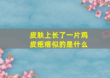 皮肤上长了一片鸡皮疙瘩似的是什么